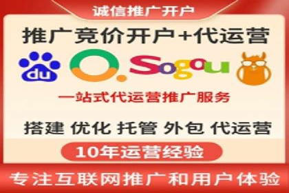 行业领先企业的SEM广告策略与效果分析